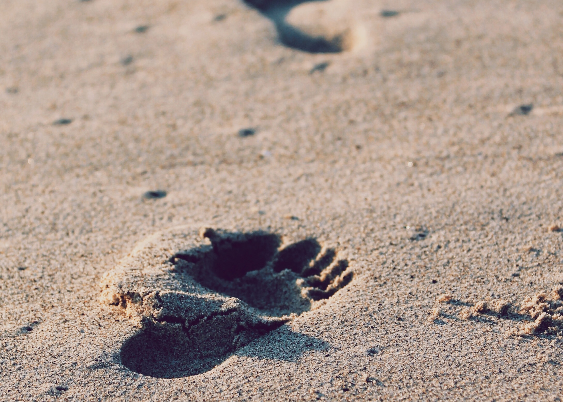 Footprints